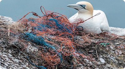 Quase 1 milhão de equipamentos de pesca perdidos no oceano, por ano